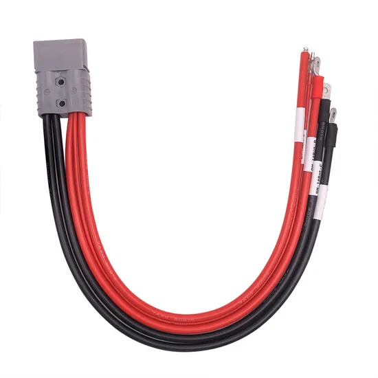 OEM ODM Scooter Moto Roulotte Camion Trattori Cablaggi per auto personalizzati