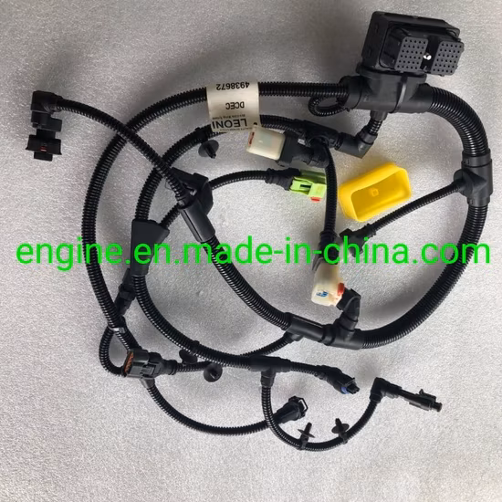 Cablaggio Ecm Motore Qsb 4938672 4933296 5367724
